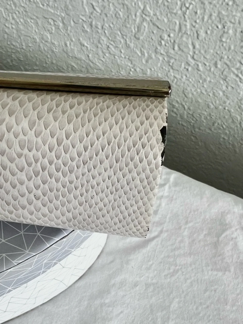 Jimmy Choo Snakeskin glasses case